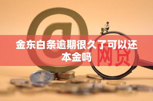 金东白条逾期很久了可以还本金吗