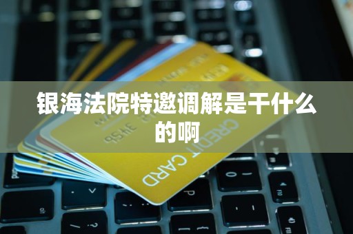 银海法院特邀调解是干什么的啊