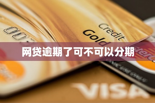 网贷逾期了可不可以分期