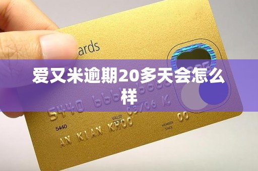 爱又米逾期20多天会怎么样 爱又米逾期20多天会怎么样