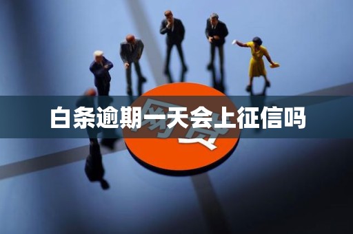 白条逾期一天会上征信吗