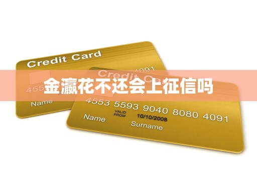 金瀛花不还会上征信吗