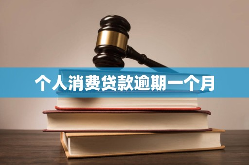 个人消费贷款逾期一个月