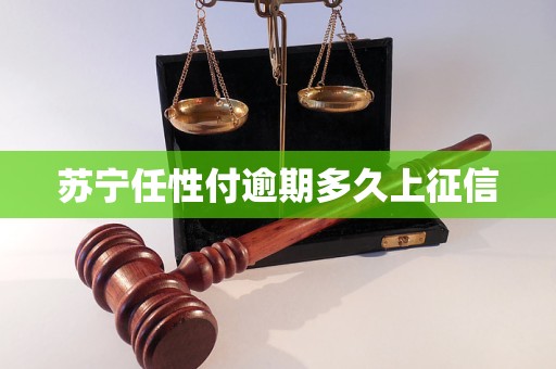 苏宁任性付逾期多久上征信 苏宁任性付逾期多久上征信