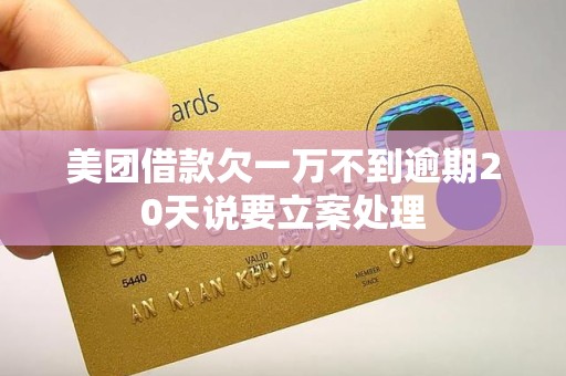 美团借款欠一万不到逾期20天说要立案处理