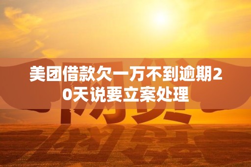 美团借款欠一万不到逾期20天说要立案处理 美团借款欠一万不到逾期20天说要立案处理