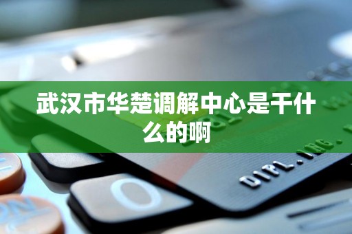 武汉市华楚调解中心是干什么的啊 武汉市华楚调解中心是干什么的啊