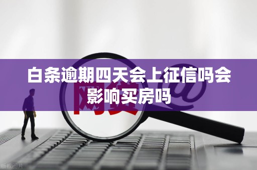 白条逾期四天会上征信吗会影响买房吗 白条逾期四天会上征信吗会影响买房吗