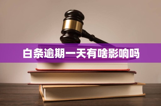 白条逾期一天有啥影响吗