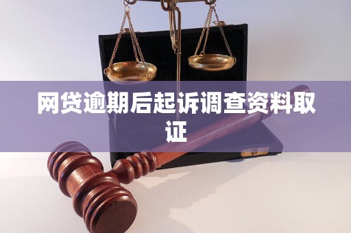 网贷逾期后起诉调查资料取证