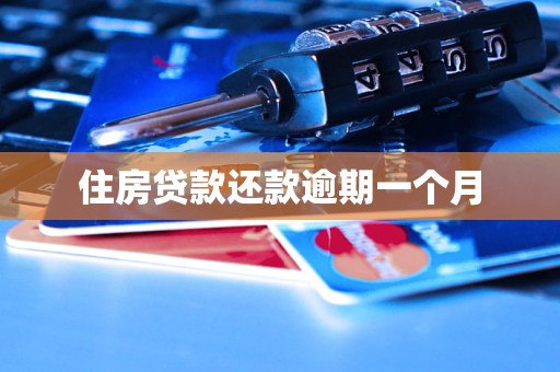 住房贷款还款逾期一个月