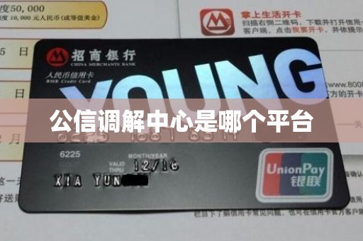 公信调解中心是哪个平台