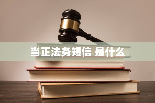 当正法务短信 是什么