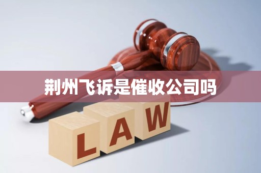 荆州飞诉是催收公司吗 荆州飞诉是催收公司吗