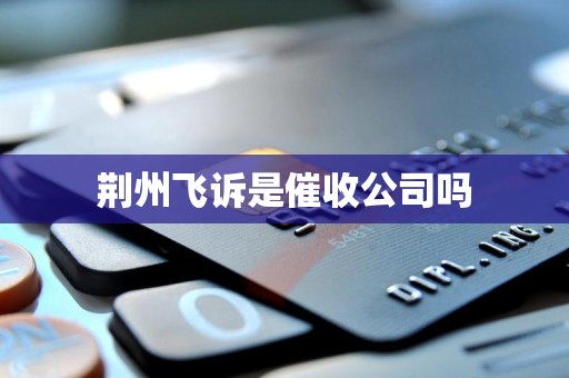 荆州飞诉是催收公司吗 荆州飞诉是催收公司吗