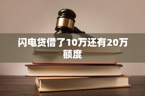 闪电贷借了10万还有20万额度 闪电贷借了10万还有20万额度