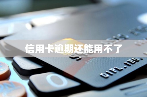 信用卡逾期还能用不了 信用卡逾期还能用不了