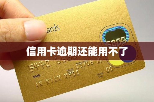 信用卡逾期还能用不了 信用卡逾期还能用不了