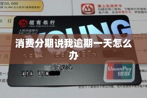 消费分期说我逾期一天怎么办 消费分期说我逾期一天怎么办