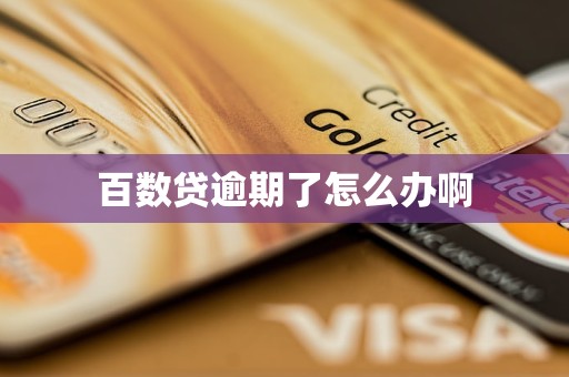 百数贷逾期了怎么办啊 百数贷逾期了怎么办啊