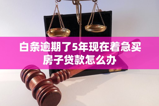 白条逾期了5年现在着急买房子贷款怎么办 白条逾期了5年现在着急买房子贷款怎么办