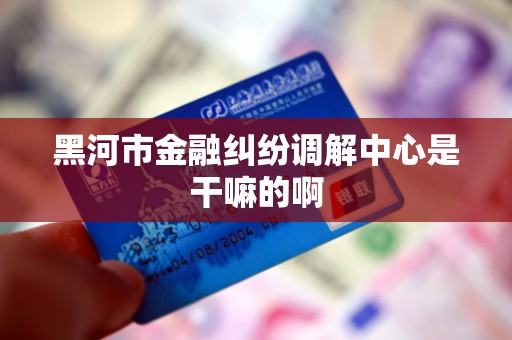 黑河市金融纠纷调解中心是干嘛的啊