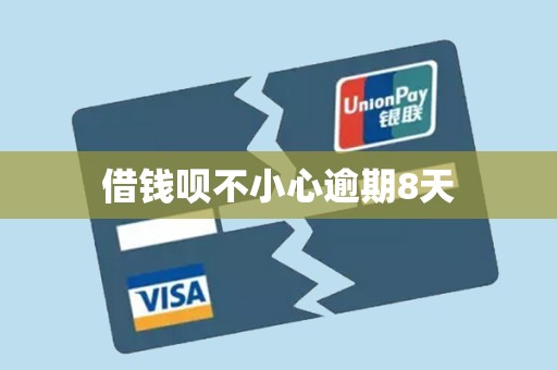 借钱呗不小心逾期8天 借钱呗不小心逾期8天