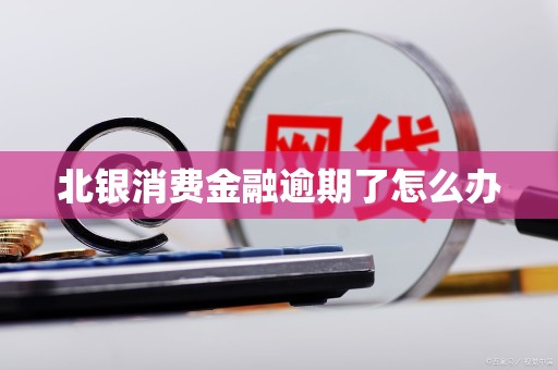 北银消费金融逾期了怎么办 北银消费金融逾期了怎么办