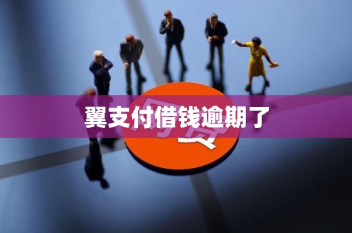 翼支付借钱逾期了 翼支付借钱逾期了