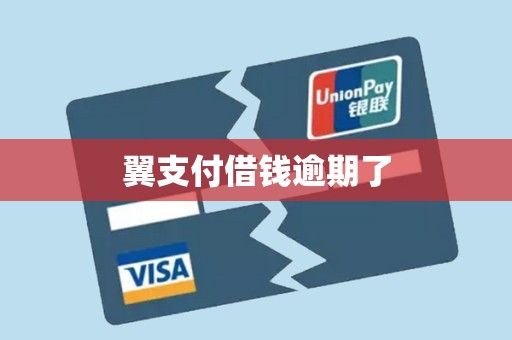 翼支付借钱逾期了 翼支付借钱逾期了