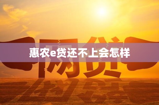 惠农e贷还不上会怎样