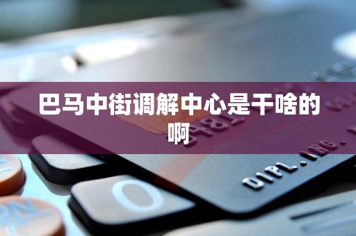 巴马中街调解中心是干啥的啊 巴马中街调解中心是干啥的啊