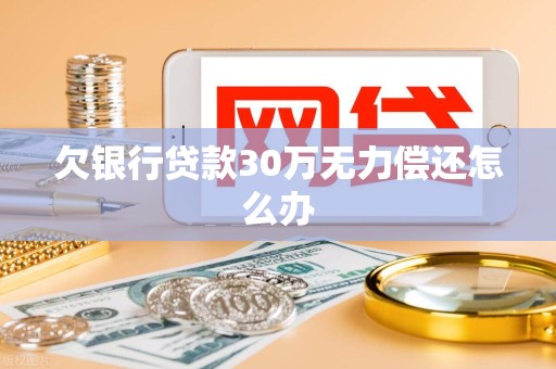 欠银行贷款30万无力偿还怎么办