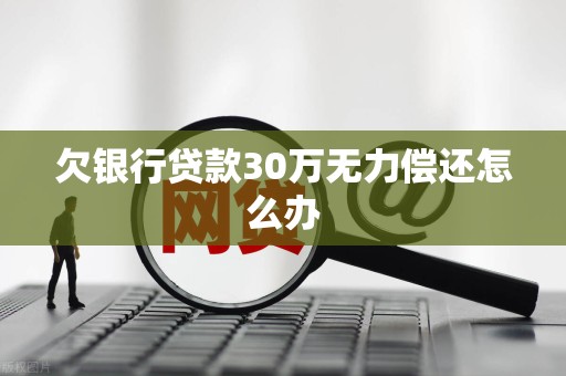 欠银行贷款30万无力偿还怎么办