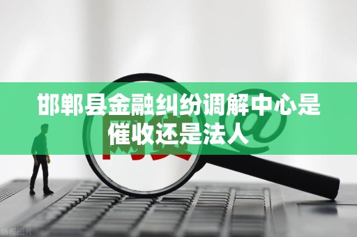 邯郸县金融纠纷调解中心是催收还是法人