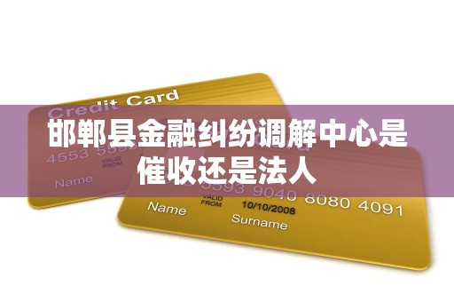 邯郸县金融纠纷调解中心是催收还是法人