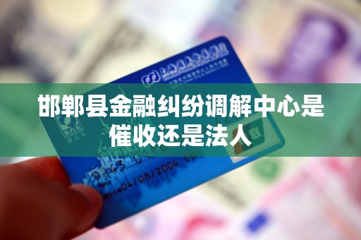 邯郸县金融纠纷调解中心是催收还是法人