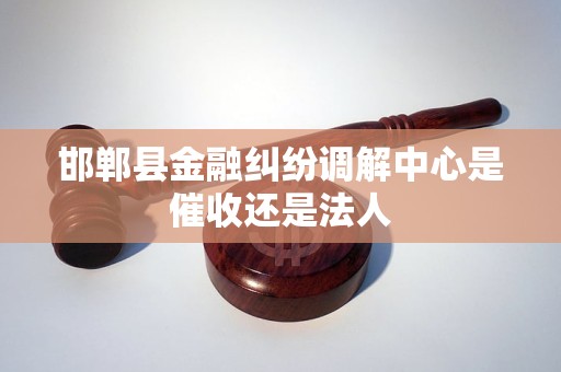 邯郸县金融纠纷调解中心是催收还是法人
