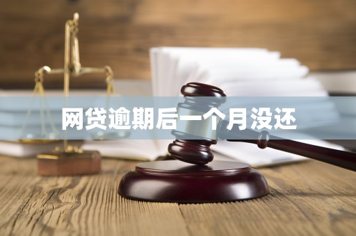 网贷逾期后一个月没还 网贷逾期后一个月没还