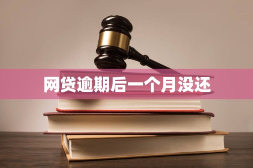 网贷逾期后一个月没还 网贷逾期后一个月没还