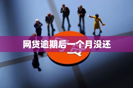 网贷逾期后一个月没还 网贷逾期后一个月没还