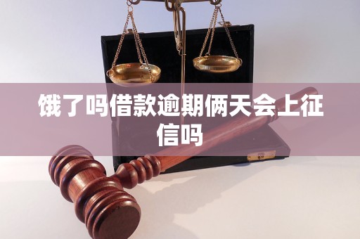 饿了吗借款逾期俩天会上征信吗 饿了吗借款逾期俩天会上征信吗