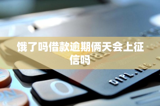 饿了吗借款逾期俩天会上征信吗 饿了吗借款逾期俩天会上征信吗