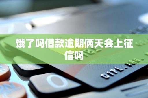 饿了吗借款逾期俩天会上征信吗 饿了吗借款逾期俩天会上征信吗