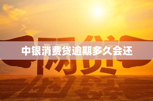 中银消费贷逾期多久会还