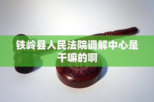 铁岭县人民法院调解中心是干嘛的啊