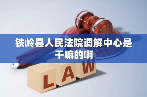铁岭县人民法院调解中心是干嘛的啊