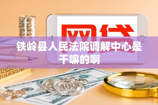 铁岭县人民法院调解中心是干嘛的啊