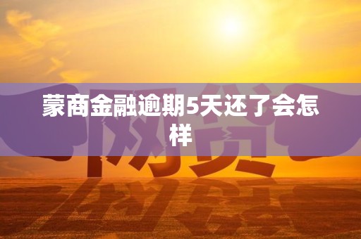 蒙商金融逾期5天还了会怎样