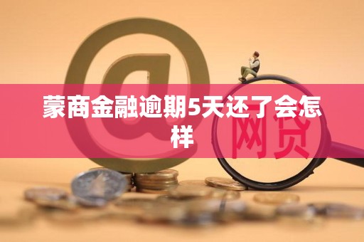 蒙商金融逾期5天还了会怎样